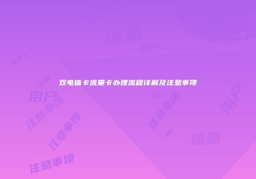 双电信卡流量卡办理流程详解及注意事项