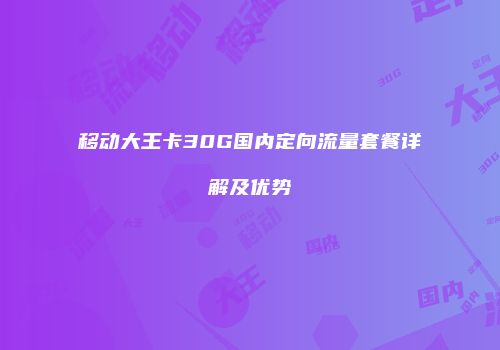 移动大王卡30G国内定向流量套餐详解及优势