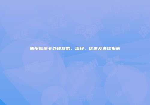 德州流量卡办理攻略：流程、优惠及选择指南