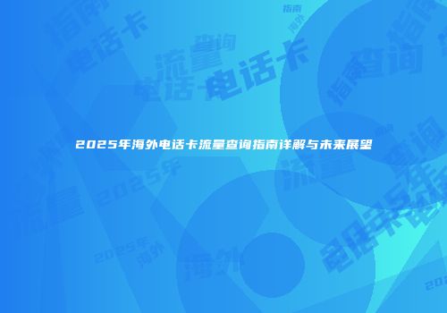 2025年海外电话卡流量查询指南详解与未来展望