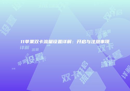 11苹果双卡流量设置详解：开启与注意事项