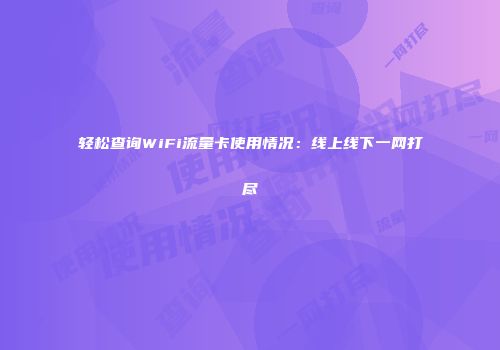 轻松查询WiFi流量卡使用情况：线上线下一网打尽
