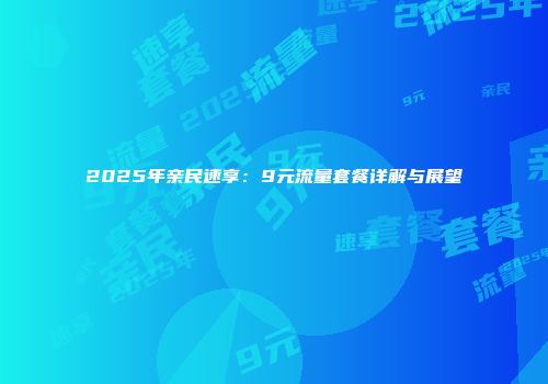 2025年亲民速享：9元流量套餐详解与展望