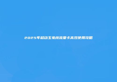 2025年移动玉兔纯流量卡高效使用攻略