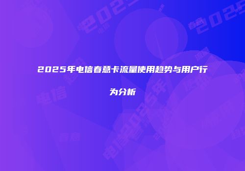 2025年电信春意卡流量使用趋势与用户行为分析
