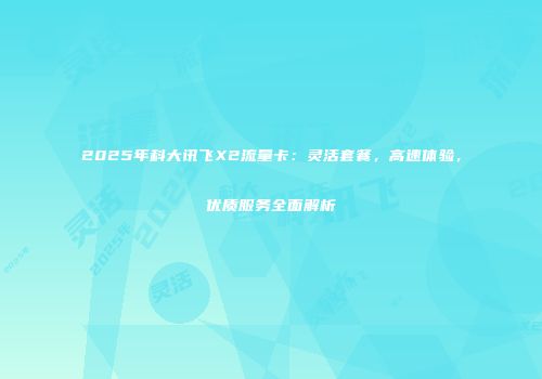 2025年科大讯飞X2流量卡：灵活套餐，高速体验，优质服务全面解析