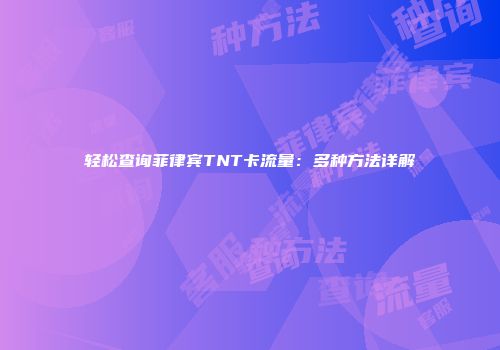 轻松查询菲律宾TNT卡流量：多种方法详解