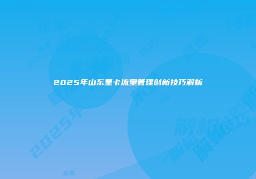 2025年山东星卡流量管理创新技巧解析