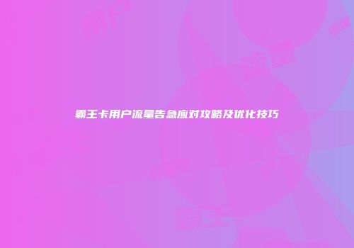 霸王卡用户流量告急应对攻略及优化技巧