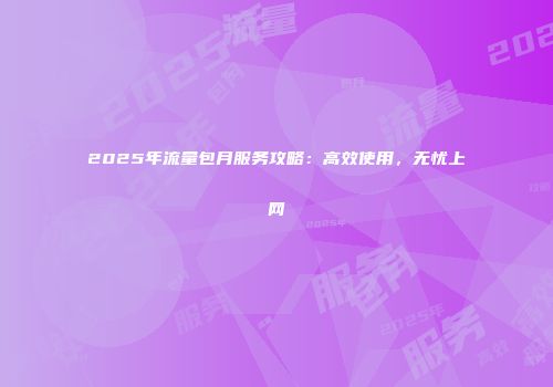 2025年流量包月服务攻略：高效使用，无忧上网