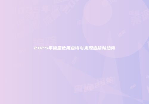 2025年流量使用查询与来源追踪新趋势