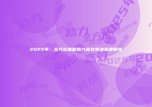 2025年：全方位策略助力高效异地流量管理