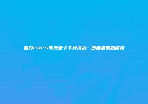 应对2025年流量卡下线挑战：多维度策略解析