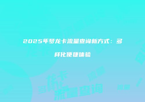 2025年梦龙卡流量查询新方式：多样化便捷体验