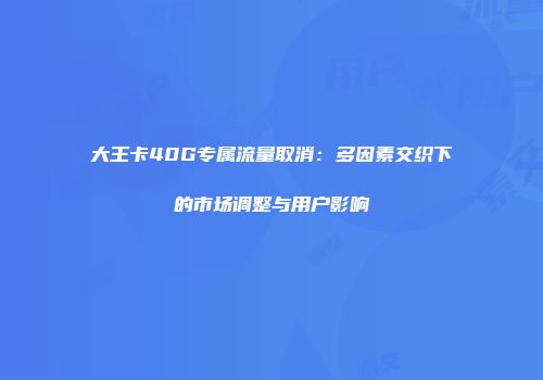大王卡40G专属流量取消：多因素交织下的市场调整与用户影响