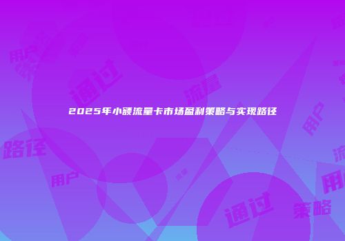 2025年小额流量卡市场盈利策略与实现路径