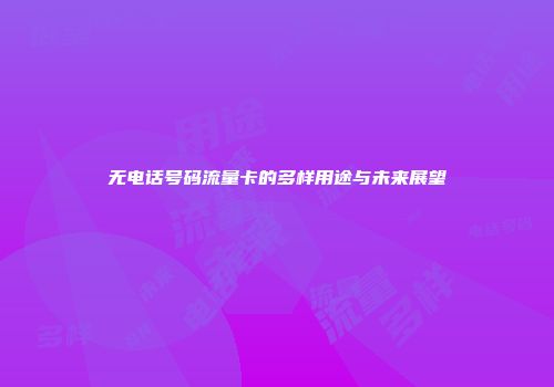 无电话号码流量卡的多样用途与未来展望