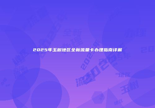 2025年玉树地区全新流量卡办理指南详解