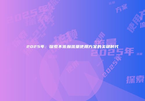 2025年：探索不依赖流量使用方案的关键时代