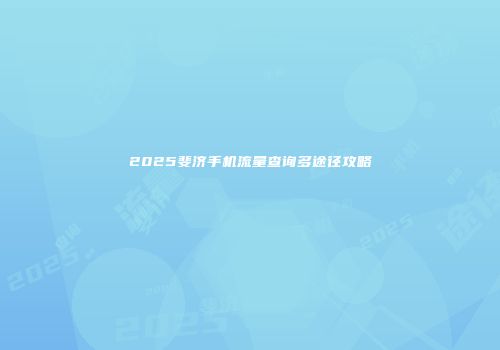2025斐济手机流量查询多途径攻略