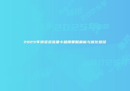 2025年拼多多流量卡租用策略解析与优化路径