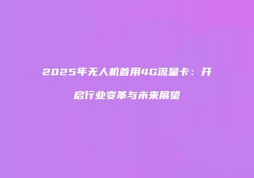 2025年无人机首用4G流量卡：开启行业变革与未来展望