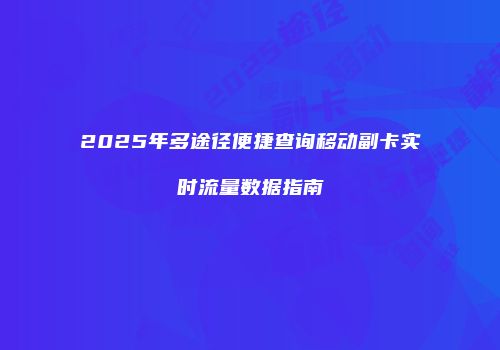 2025年多途径便捷查询移动副卡实时流量数据指南