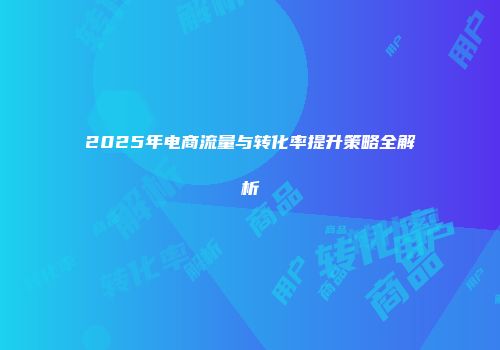 2025年电商流量与转化率提升策略全解析
