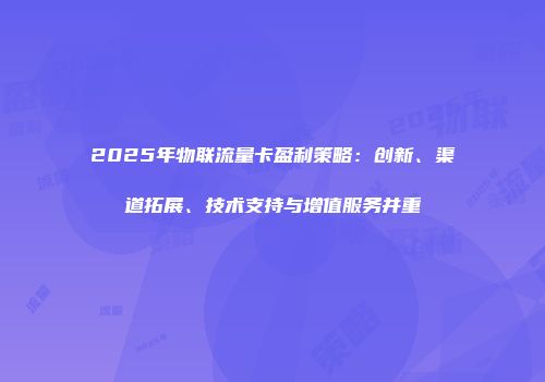 2025年物联流量卡盈利策略：创新、渠道拓展、技术支持与增值服务并重