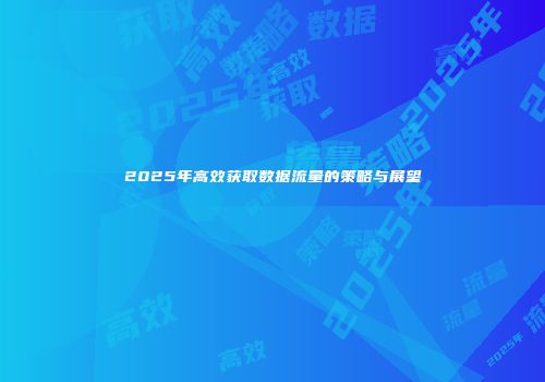 2025年高效获取数据流量的策略与展望