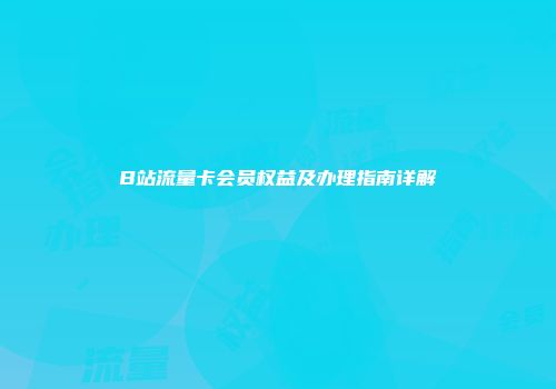 B站流量卡会员权益及办理指南详解