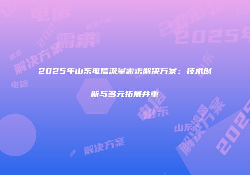 2025年山东电信流量需求解决方案：技术创新与多元拓展并重