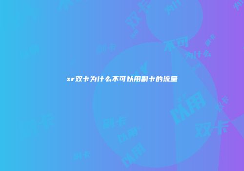 xr双卡为什么不可以用副卡的流量