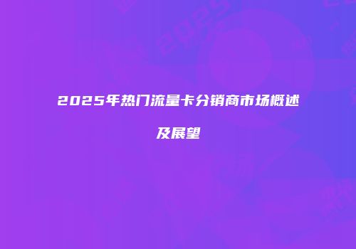 2025年热门流量卡分销商市场概述及展望