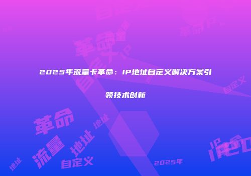 2025年流量卡革命：IP地址自定义解决方案引领技术创新