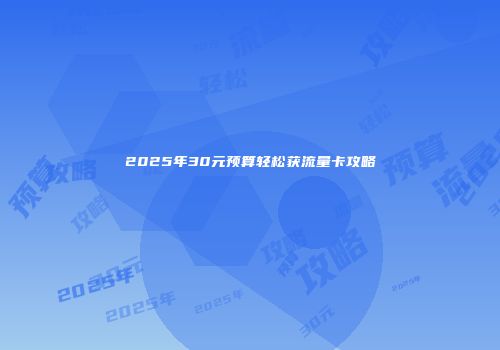 2025年30元预算轻松获流量卡攻略