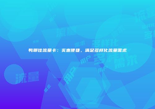 鸭聊佳流量卡：实惠便捷，满足多样化流量需求