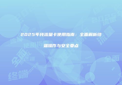 2025年纯流量卡使用指南：全面解析终端操作与安全要点