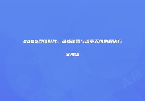 2025网络时代：流畅体验与流量无忧的解决方案展望
