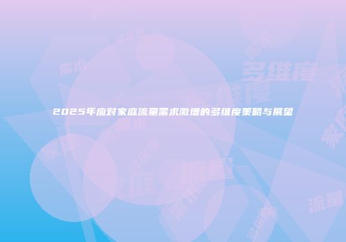 2025年应对家庭流量需求激增的多维度策略与展望