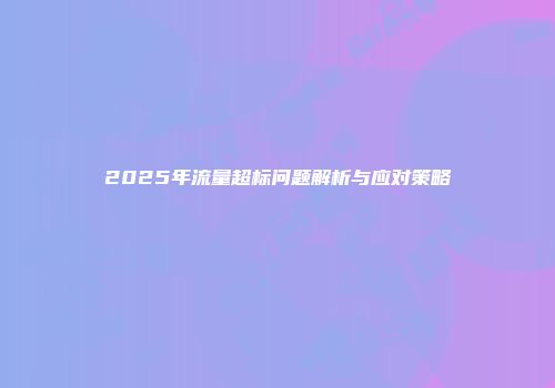 2025年流量超标问题解析与应对策略