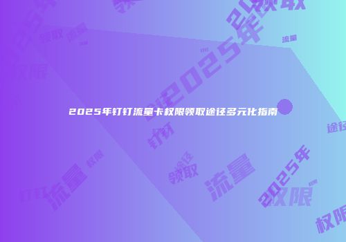 2025年钉钉流量卡权限领取途径多元化指南