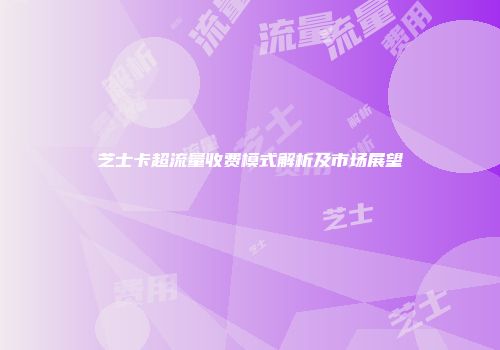 芝士卡超流量收费模式解析及市场展望
