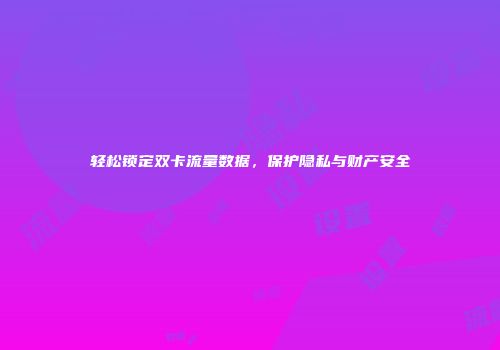 轻松锁定双卡流量数据，保护隐私与财产安全