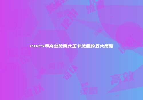 2025年高效使用大王卡流量的五大策略