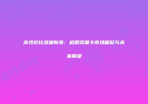 高性价比流量新宠：启明流量卡市场崛起与未来展望