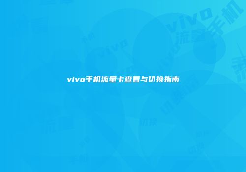 vivo手机流量卡查看与切换指南
