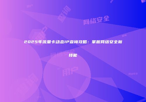 2025年流量卡动态IP查询攻略：掌握网络安全新技能