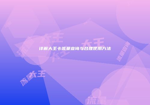 详解大王卡流量查询与合理使用方法
