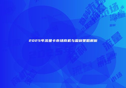 2025年流量卡市场商机与盈利策略解析